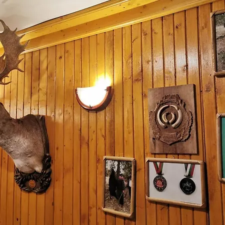 комплекс петлето *