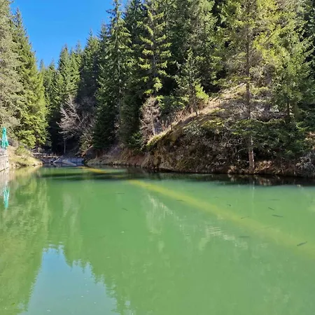 Holiday home комплекс петлето