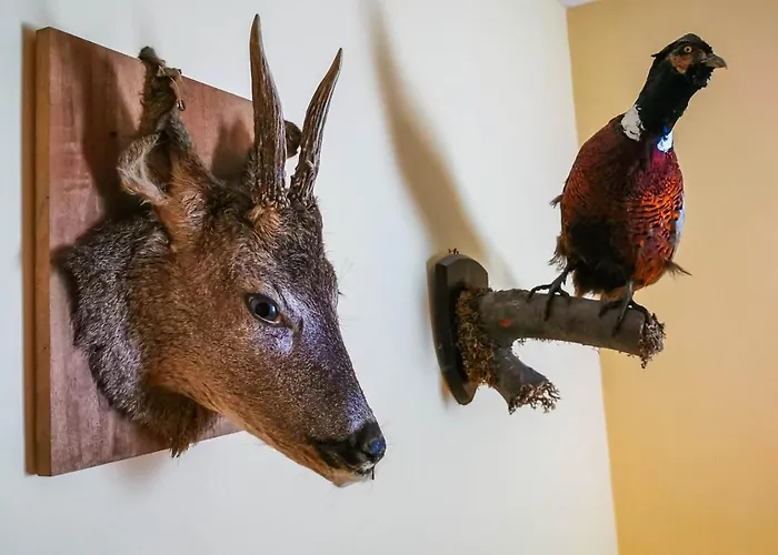 Holiday home комплекс петлето *