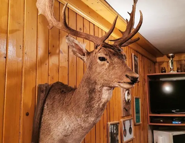 комплекс петлето *