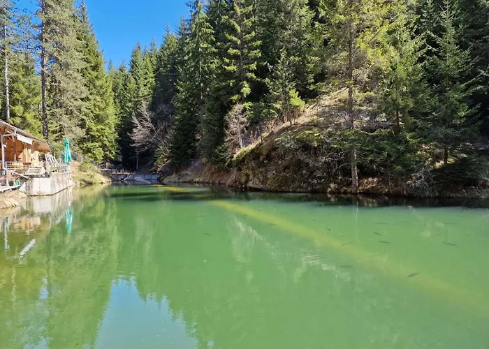 Holiday home комплекс петлето